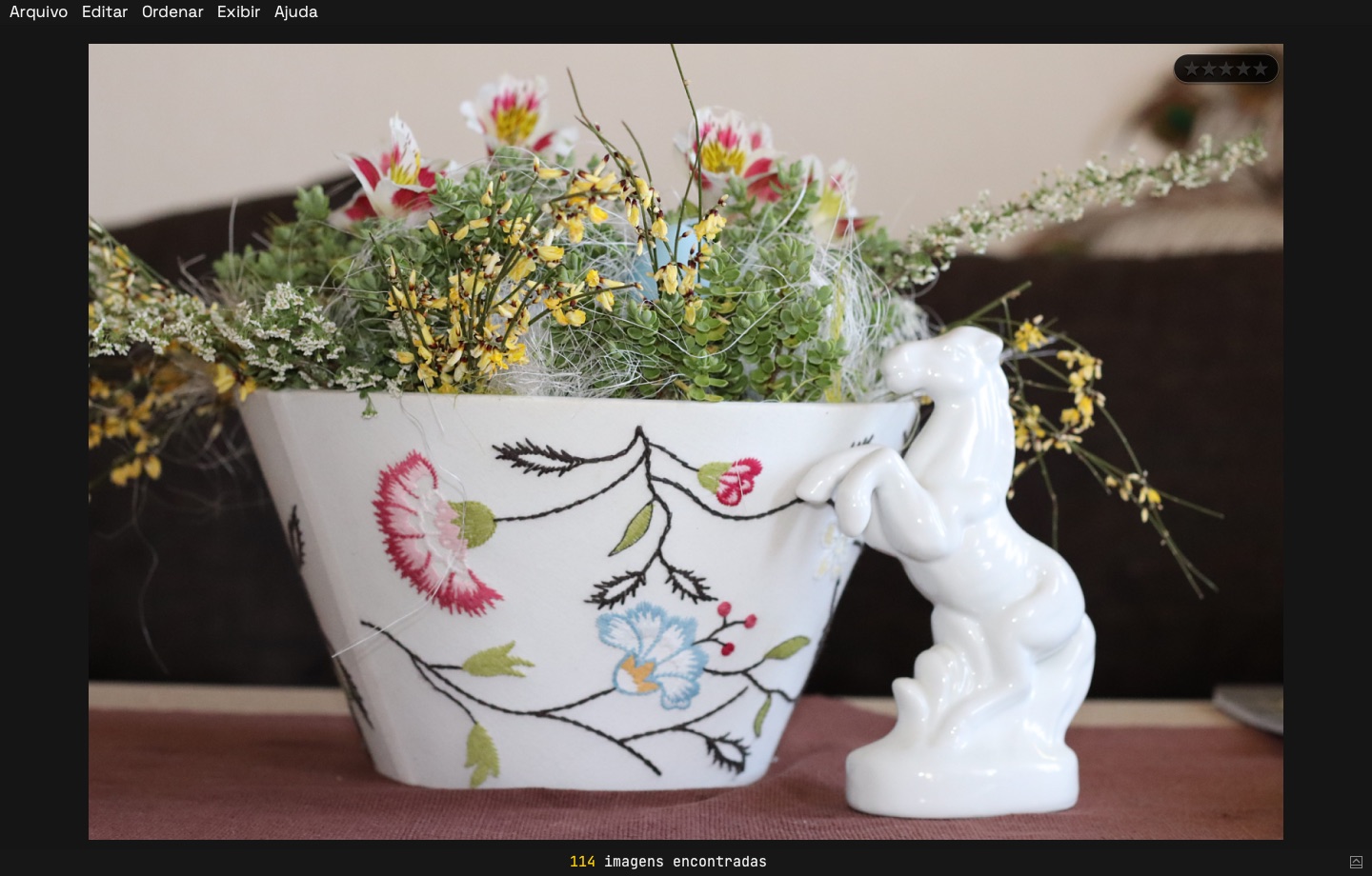 A photo open in FlashRAW's viewer